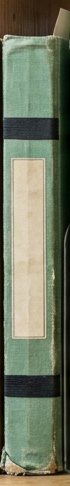 Digitally rendered: the spine of a worn, faded green notebook with a cream label, standing on a wooden shelf.